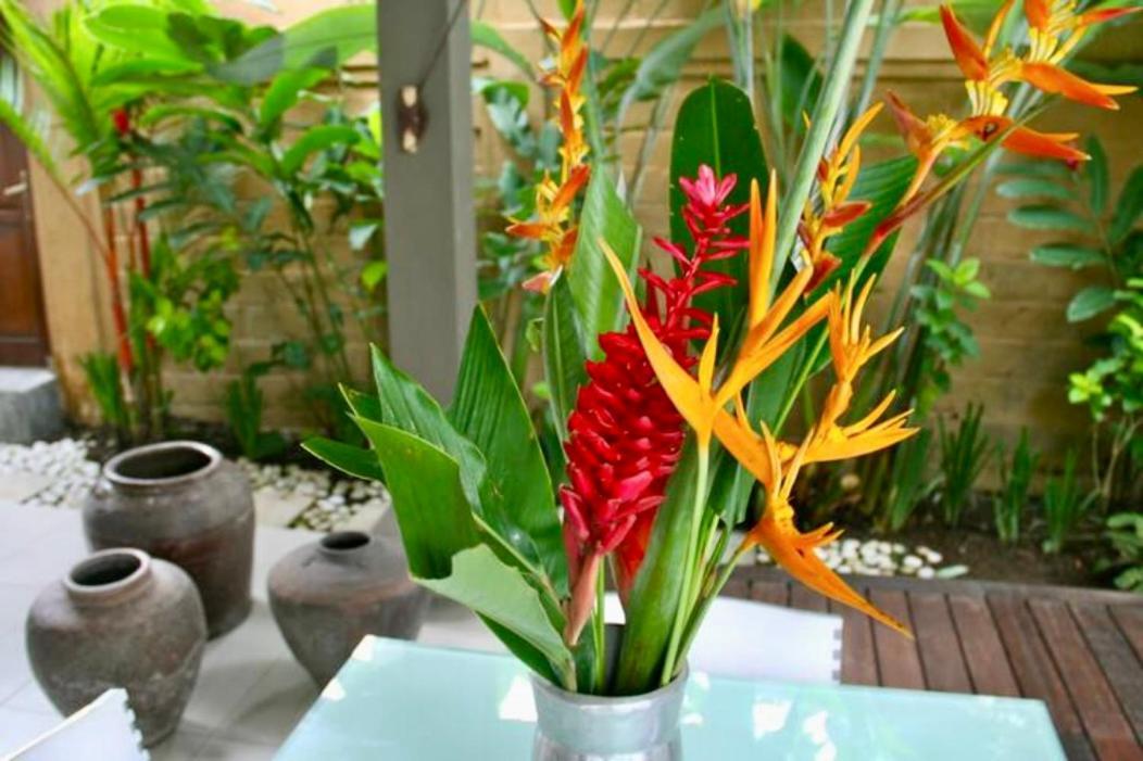 Villa Taman Rahasia, Sitara Villa Group Seminyak Zewnętrze zdjęcie